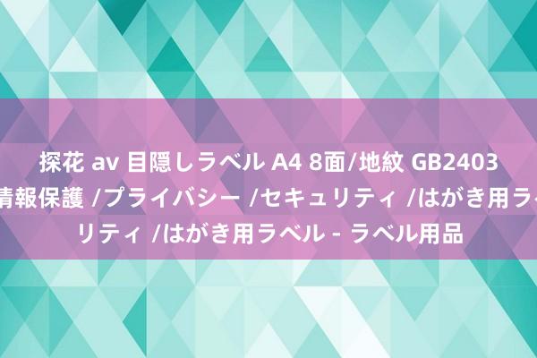 探花 av 目隠しラベル A4 8面/地紋 GB2403 (50シート入り)　情報保護 /プライバシー /セキュリティ /はがき用ラベル - ラベル用品
