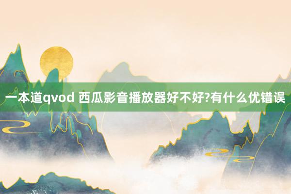 一本道qvod 西瓜影音播放器好不好?有什么优错误