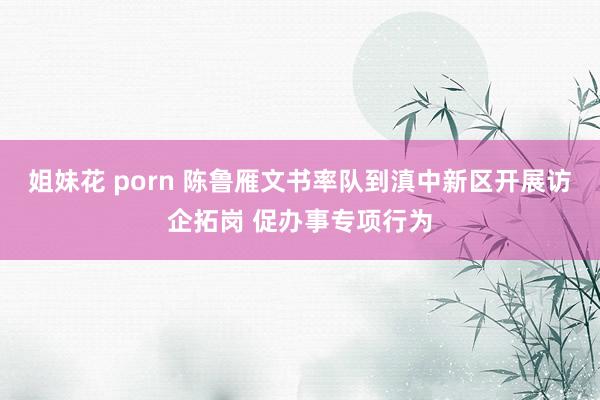 姐妹花 porn 陈鲁雁文书率队到滇中新区开展访企拓岗 促办事专项行为
