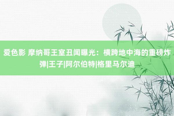 爱色影 摩纳哥王室丑闻曝光：横跨地中海的重磅炸弹|王子|阿尔伯特|格里马尔迪