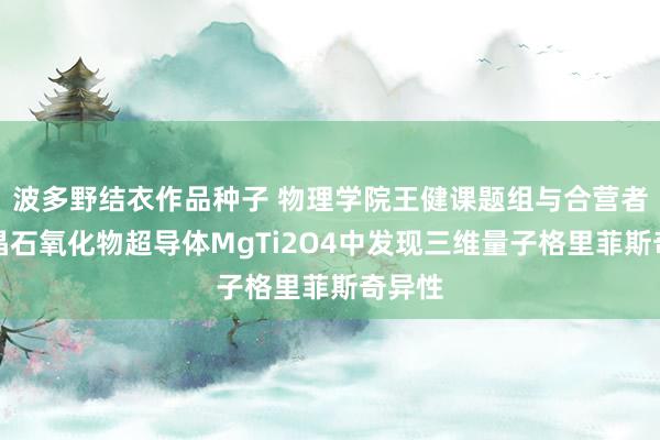 波多野结衣作品种子 物理学院王健课题组与合营者在尖晶石氧化物超导体MgTi2O4中发现三维量子格里菲斯奇异性