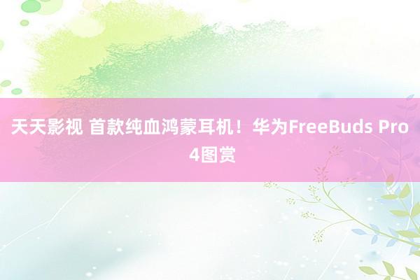 天天影视 首款纯血鸿蒙耳机！华为FreeBuds Pro 4图赏