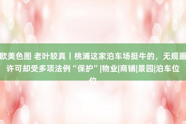 欧美色图 老叶较真丨桃浦这家泊车场挺牛的，无规画许可却受多项法例“保护”|物业|商铺|景园|泊车位