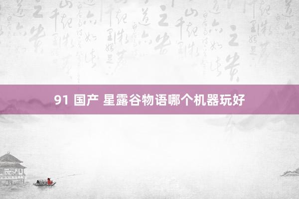 91 国产 星露谷物语哪个机器玩好