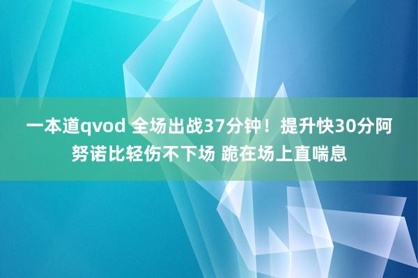 一本道qvod 全场出战37分钟！提升快30分阿努诺比轻伤不下场 跪在场上直喘息